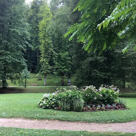 Apartma Apartment